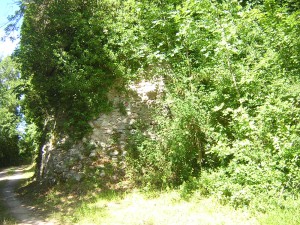 Rocca di Pergola